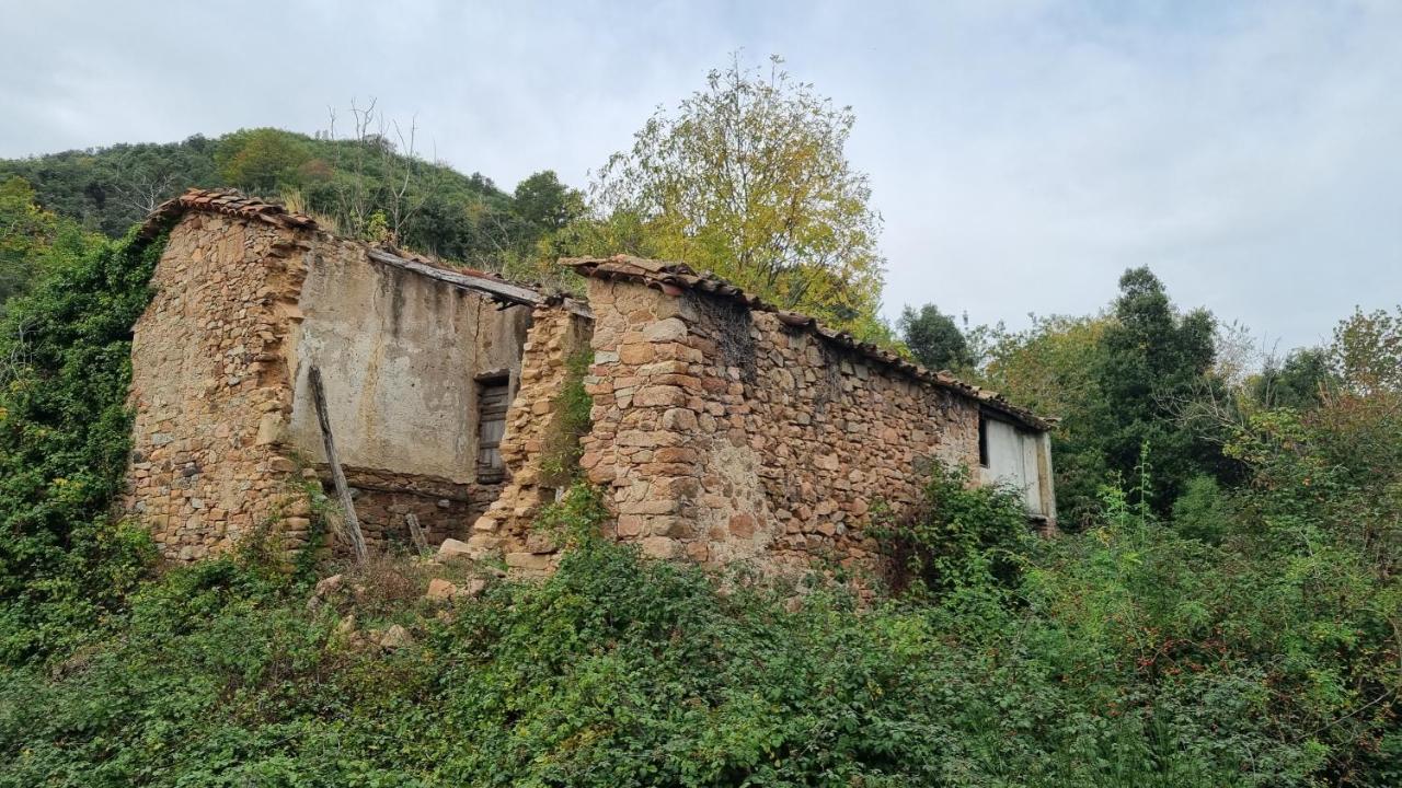 Ca La Pauleta Villa Sant Hilari Sacalm Exteriör bild