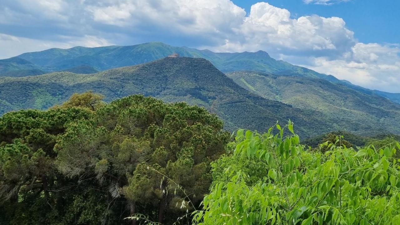 Ca La Pauleta Villa Sant Hilari Sacalm Exteriör bild