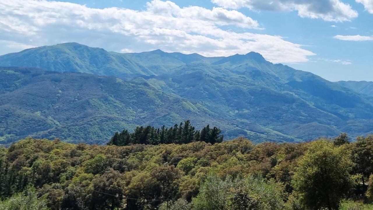 Ca La Pauleta Villa Sant Hilari Sacalm Exteriör bild