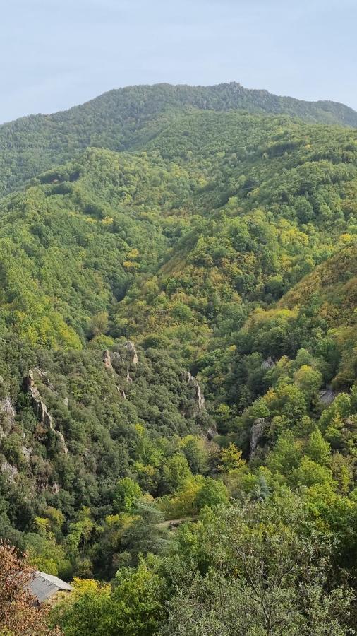 Ca La Pauleta Villa Sant Hilari Sacalm Exteriör bild