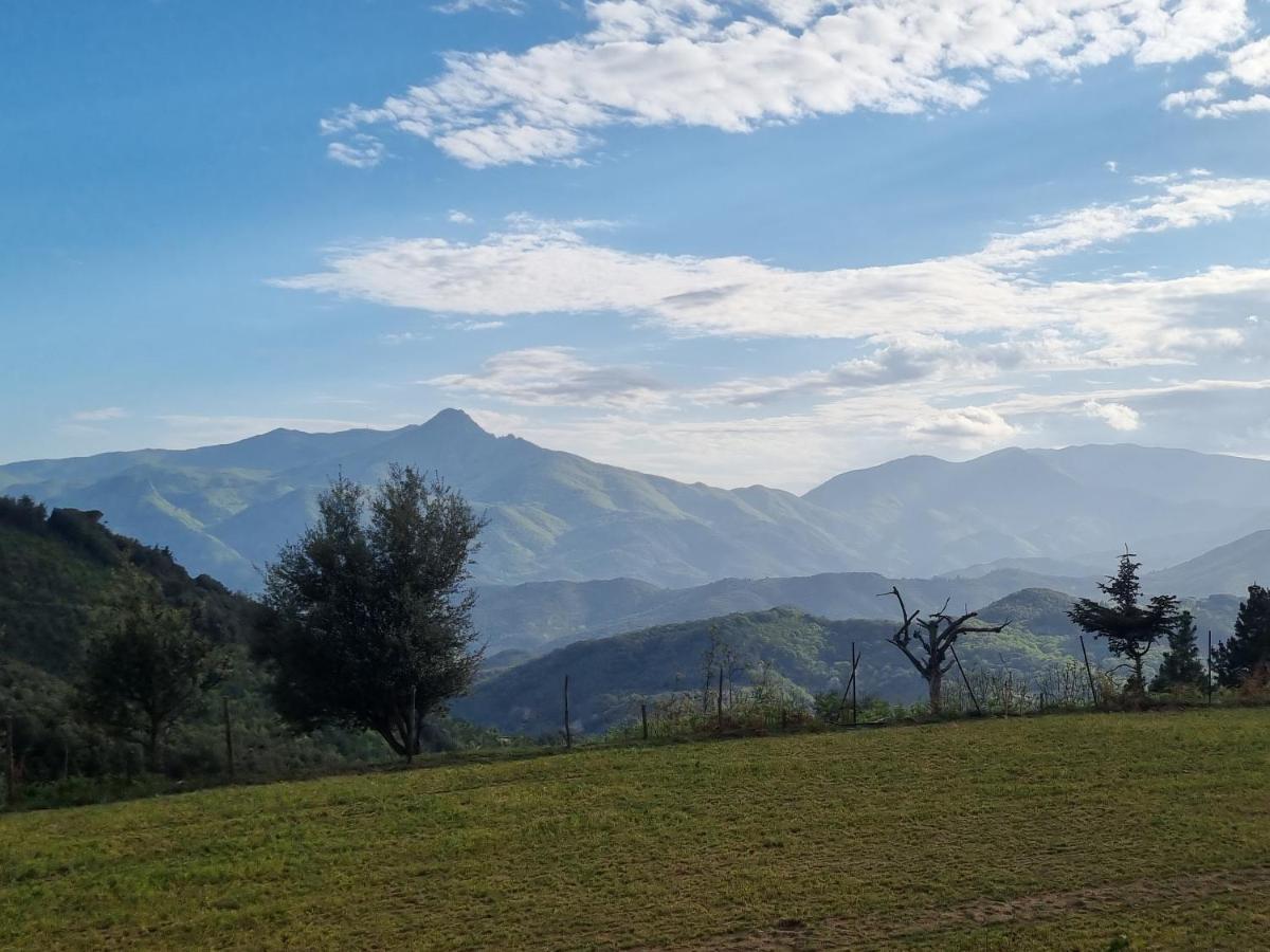 Ca La Pauleta Villa Sant Hilari Sacalm Exteriör bild
