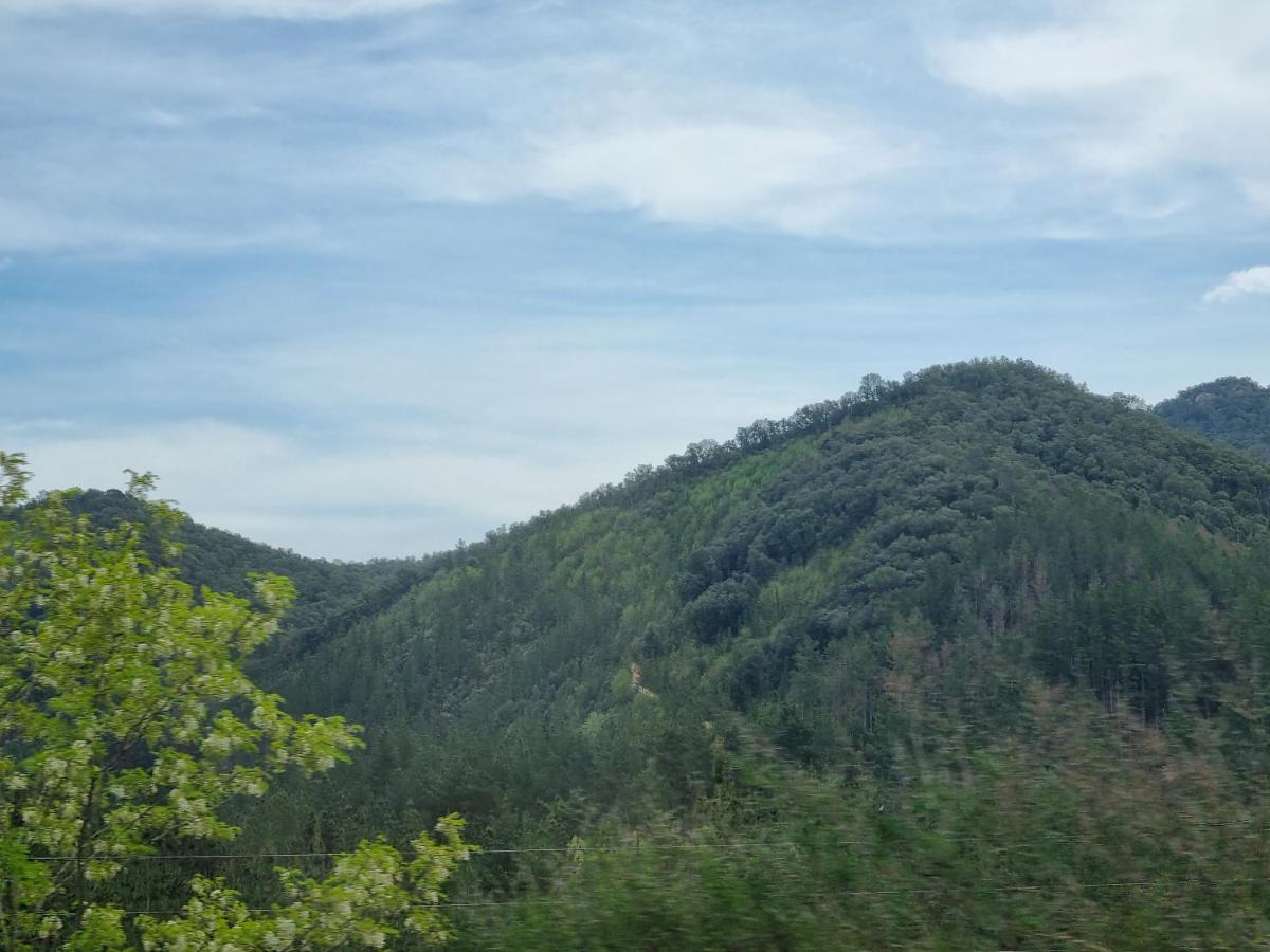 Ca La Pauleta Villa Sant Hilari Sacalm Exteriör bild