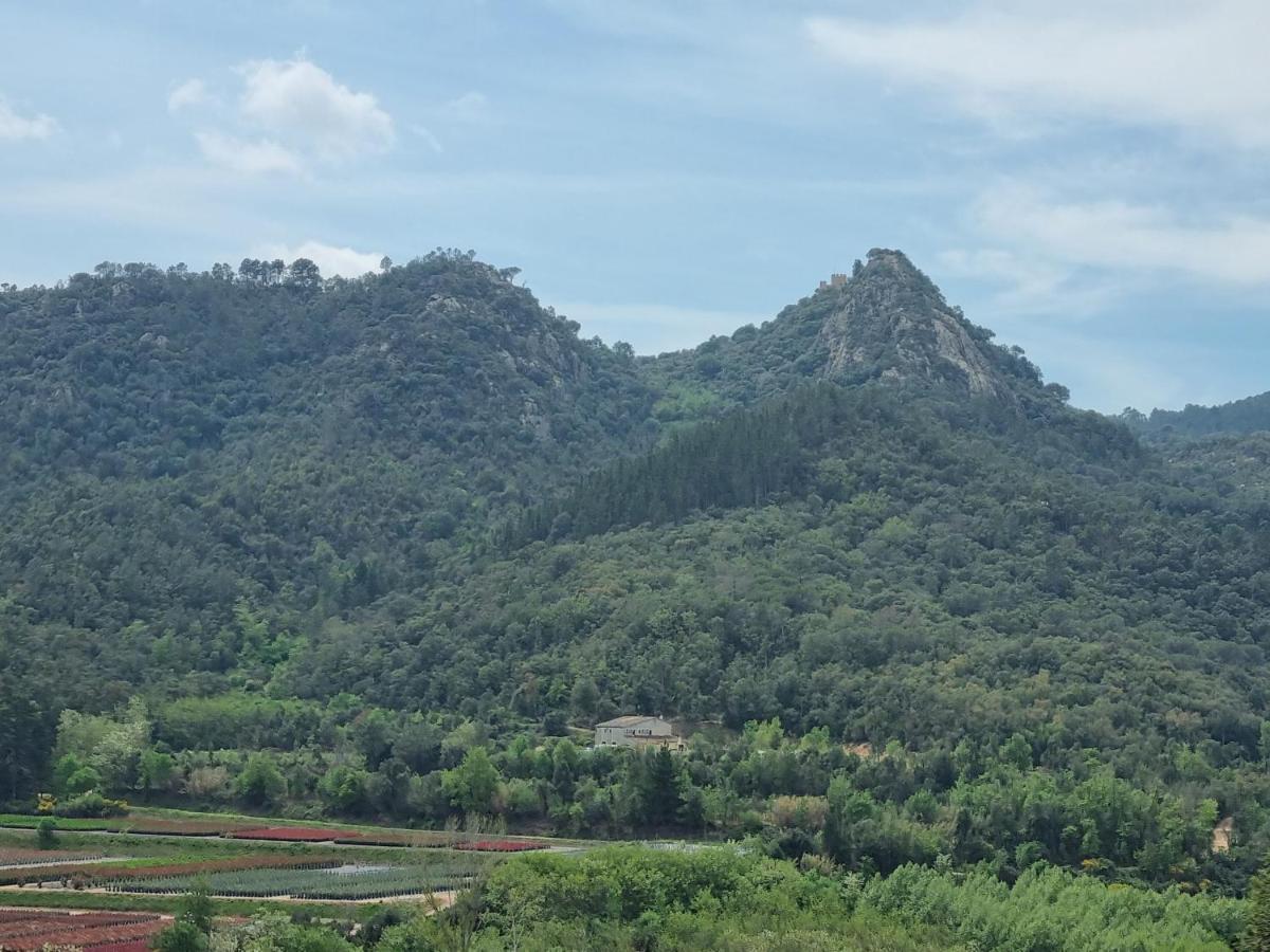 Ca La Pauleta Villa Sant Hilari Sacalm Exteriör bild